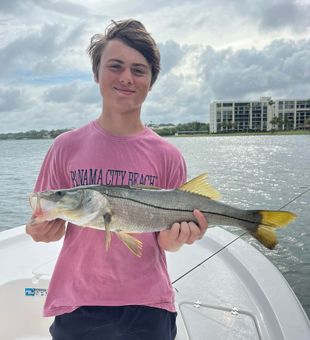 Snook Fishing Nearshore Clearwater