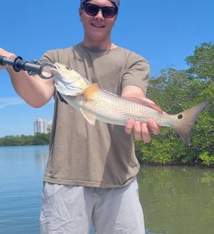 Beautiful Bonita Springs redfish making the day complete!