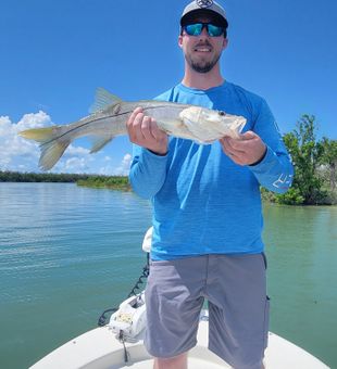 Light tackle fun with a Snook in Bonita Springs, Florida.