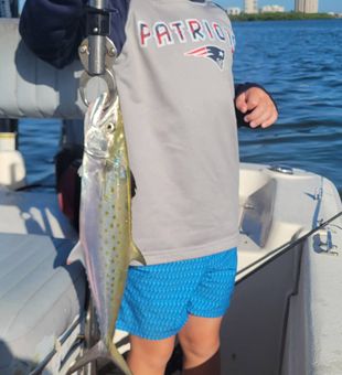 Light tackle fun with a mackerel in Bonita Springs, Florida.