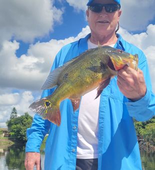 Calm waters and great fishing in Bonita Springs.