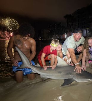 Fire works while shark fishing
