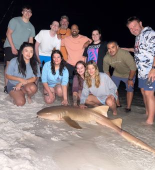 Fall nurse shark!