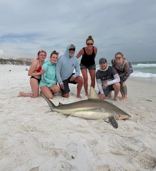 Contact at 615-961-0794 to book a trip!