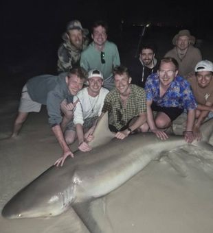 Blacktip shark success in Destin FL!