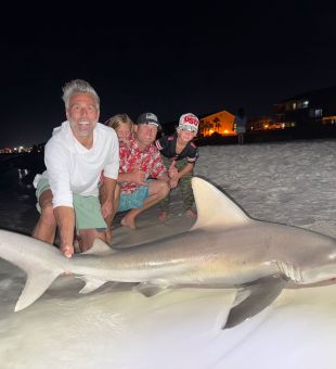 Lots of sharks around!