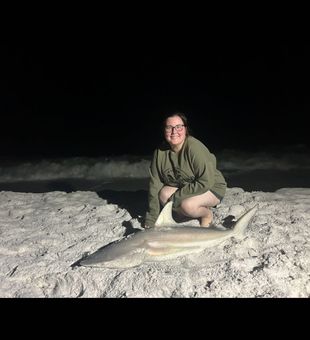 Blacktip sharks are showing up for their late summer push