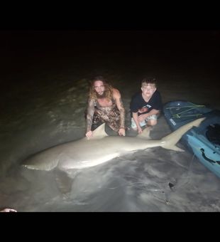 Great time last night! Big lemon shark