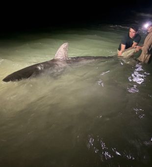 Only 3 Days still available in March.
Contact at 615-961-0794 to take them before it’s completely full!