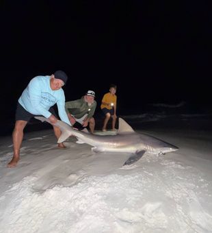 Thanksgiving week bite is on fire and will stay that way into next week! Call at 615-961-0794 to book