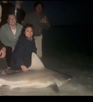 Sandbar shark bite is on fire along with pelagic sharks hanging out! A huge Mako Shark ate a cobia off Navarre Pier today contact us for a weekend sit to try and catch it at 615-961-0794