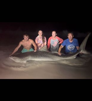 2 big tiger sharks for this awesome family from Nebraska last night. 