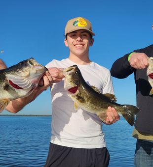 Stacked — chunky Largemouth trio!