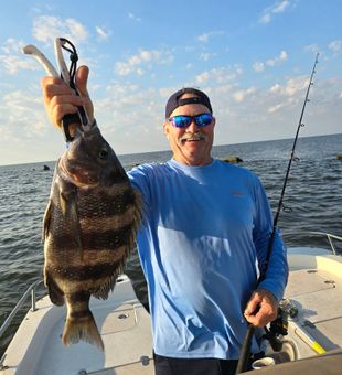 Beaming — thick Sheepshead!