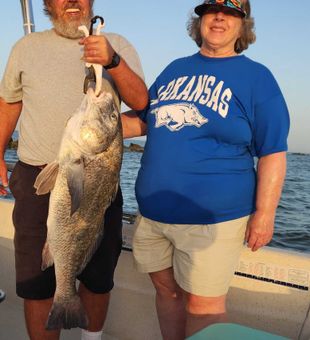 Black Drum fishing in Biloxi 