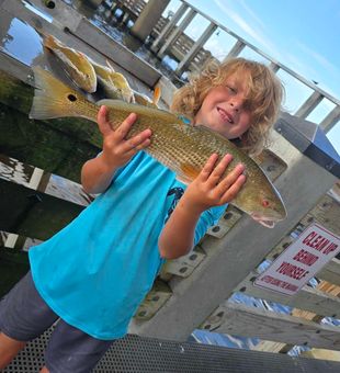 Nice redfish from D'Iberville waters!