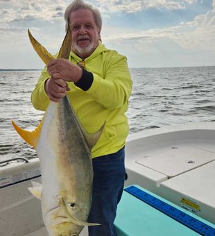 Finest Crevalle Jack