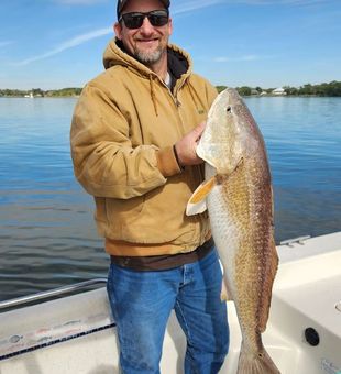 36 inch Red Drum  from this trip