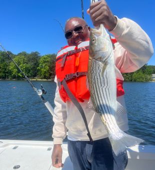 Bass Fishing Lake Murray: Let's Hook Some Bass!