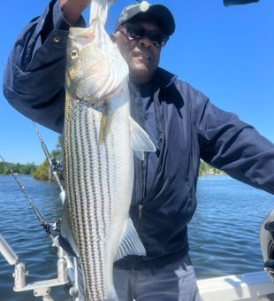 Fishing in Lake Murray: A South Carolina Gem.