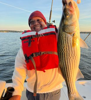 Striped bass frenzy!