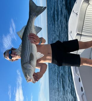 A big striped bass!