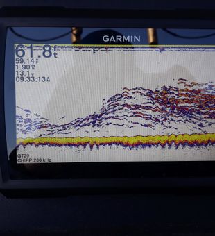 WOW! Fish are stacked up!