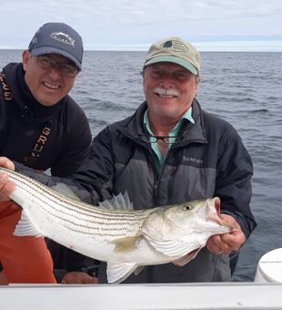 Nice dinner of striped bass