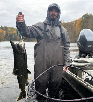 Peaceful day in the Michigan woods.