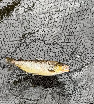 Nothing beats a quiet morning casting lines in Newaygo.