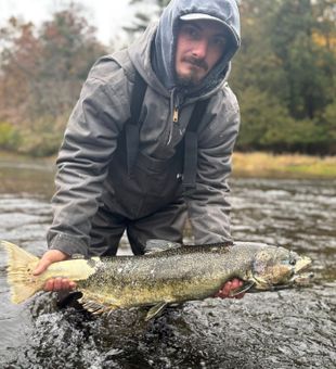 Learning the river one drift at a time.