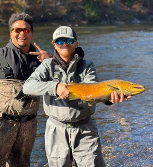 Cool air, calm flow, steady casts.