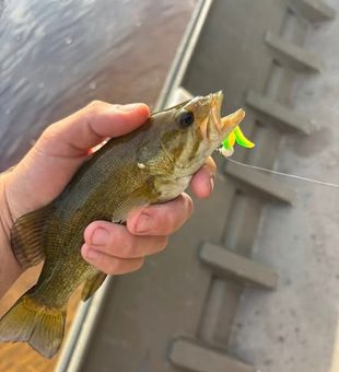 A perfect day on the water in Newaygo with plenty of fish and even better memories.