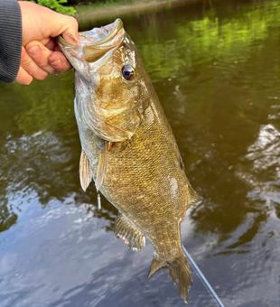 Freshwater fishing, peaceful views, and a great day in Michigan.