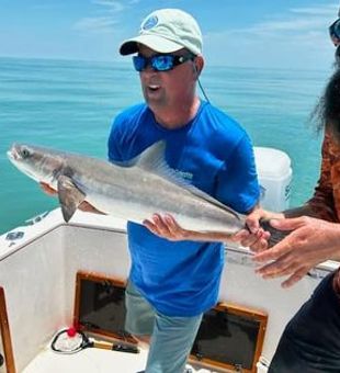 Cobia, Explore Islamorada with fishing guides