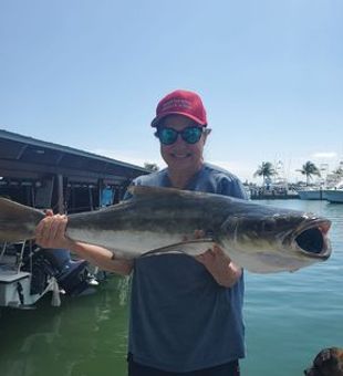 Best Islamorada fishing charters await. Cobia