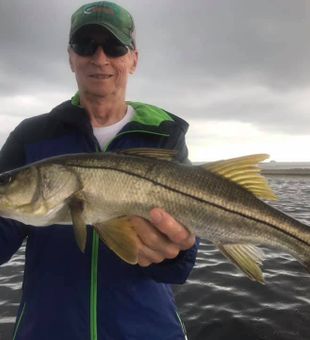 Hernando Beach Snook Fishing Charter