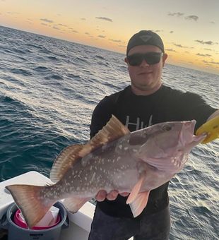 Red grouper success in Marathon FL waters!