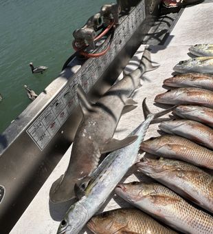 Dialed in and staying on the fish in Marathon, Florida