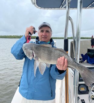 Everglades City Finest Black Drum