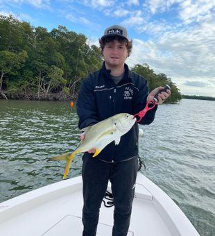 Everglades City Crevalle Jack Delight