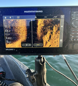 Light tackle fishing in Newport - sonar shows the best underwater action ahead!