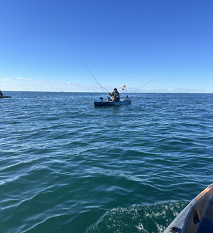Light tackle adventure on the water in Newport RI with clear conditions - perfect day for fishing!