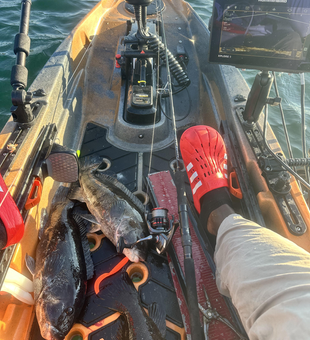 Perfectly clear day for some light tackle action in Newport!