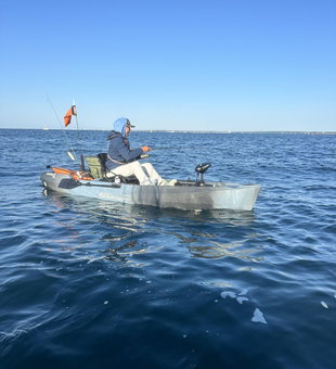 Perfect day for light tackle action in Newport!