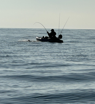 Mastering the art of light tackle in Newport's changeable skies!