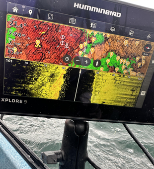Braving the elements for some light tackle action in Newport!