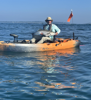 Big striped bass reeled in using light tackle in Newport!