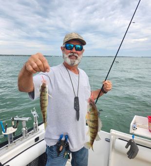 Perch Catch in Lake Erie Fishing Trips