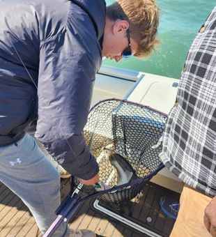 Checking his 1st catch of the day - Marblehead, OH.